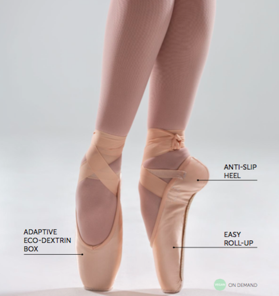 grishko 3007 pointe shoes