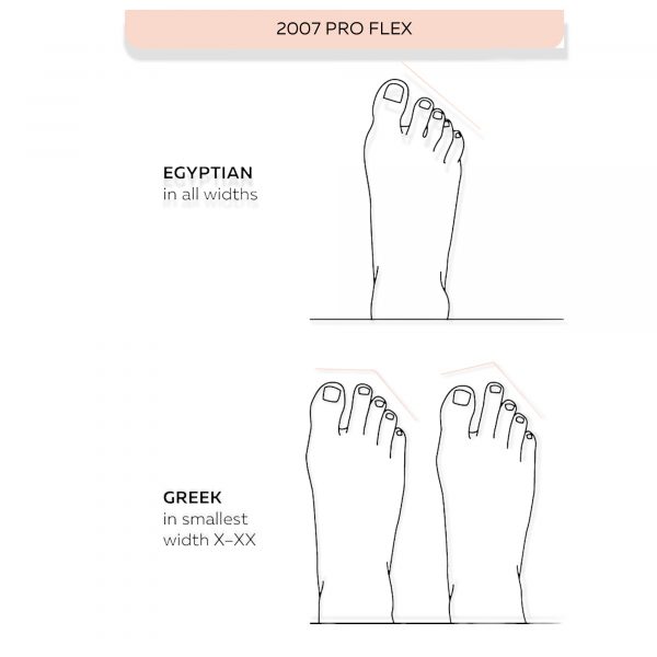 2007 pro flex grishko pointe shoes00001
