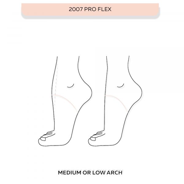2007 pro flex grishko pointe shoes00002