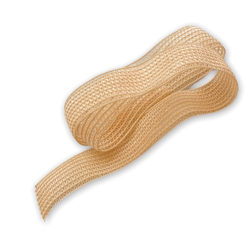 mesh pointe shoe elastic 2,5cm
