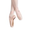 RP Reveal Suede Tip Pointe Shoes (main)