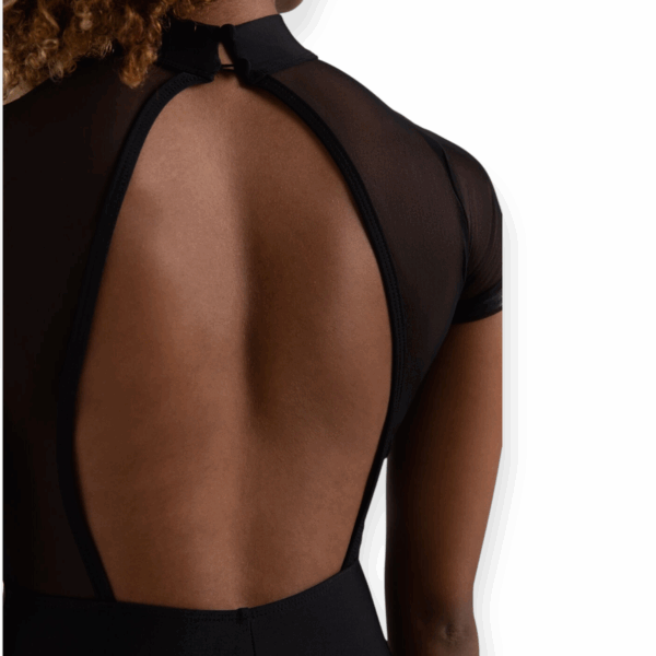 blackthorn capezio leotard8